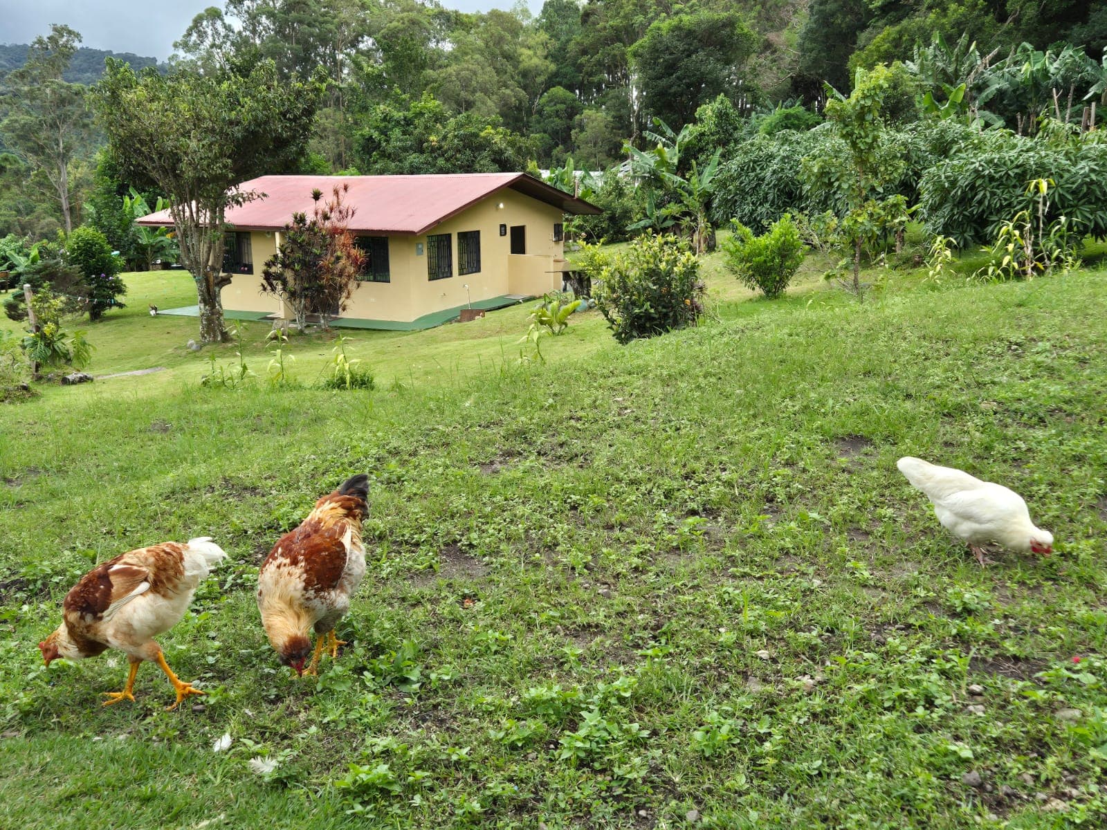 Jardín de Senderos Amados en Boquete